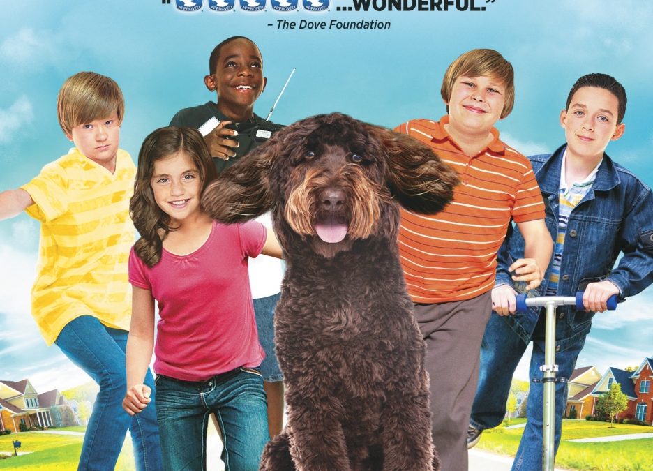 THE SOLOMON BUNCH